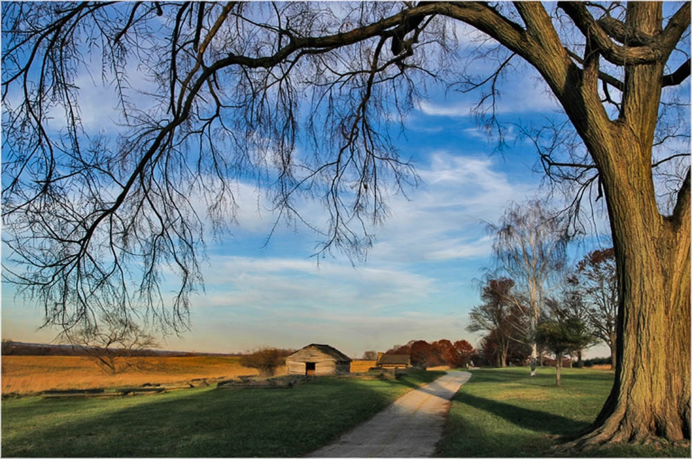 Valley Forge --- Photo by Camille LaPlaca-Post